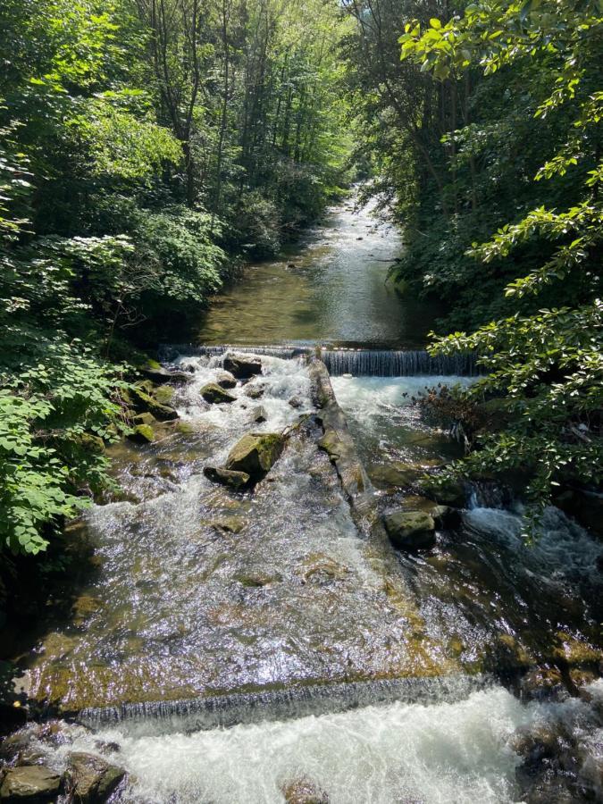 Green Apart Mountain Szczyrk Bratków 10E Zewnętrze zdjęcie