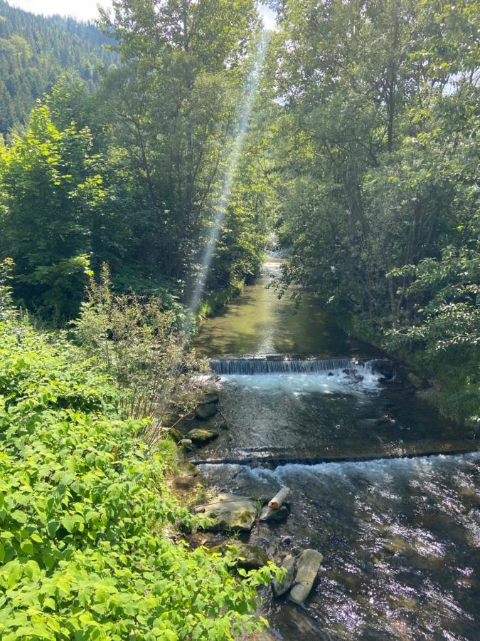 Green Apart Mountain Szczyrk Bratków 10E Zewnętrze zdjęcie